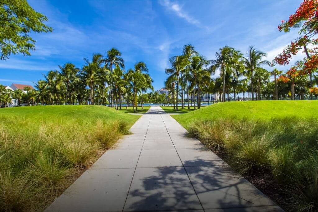 A pathway leading to a grassy area with palm trees.