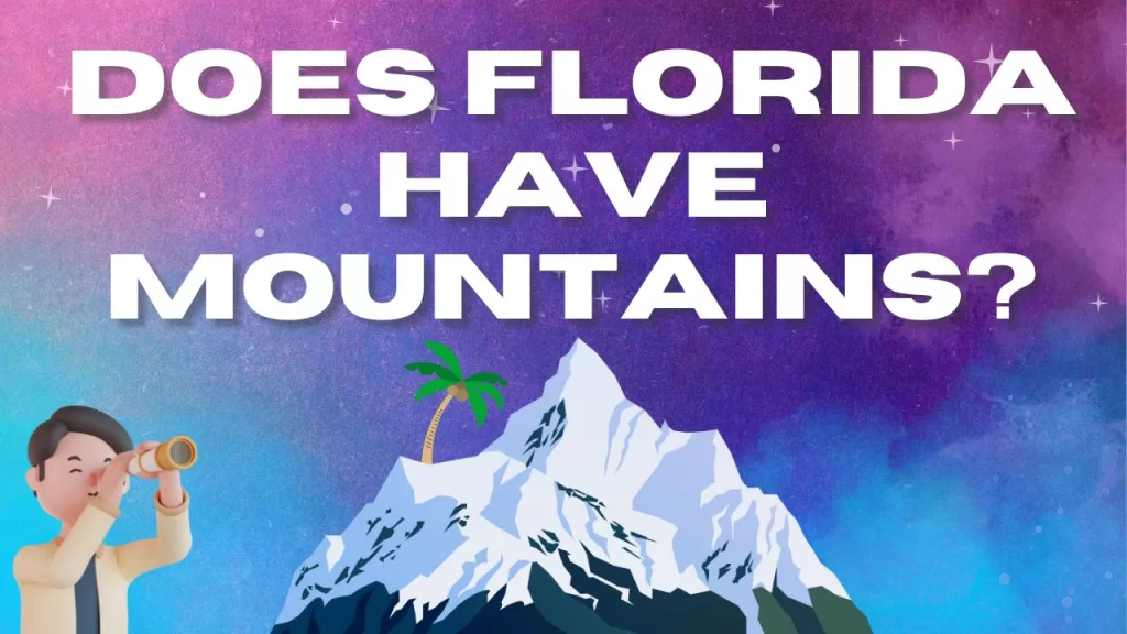 Does florida have mountains?.